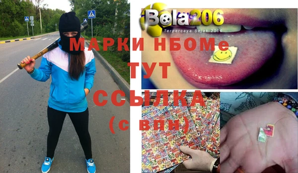сатива Липки