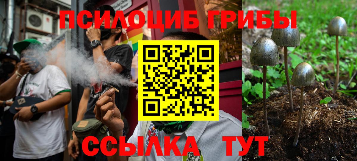 наркота  Галлюциногенные грибы Psilocybe  Вход с VPN  Бирск 